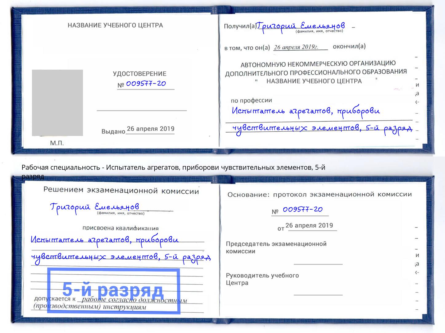 корочка 5-й разряд Испытатель агрегатов, приборови чувствительных элементов Новый Уренгой